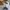 Nike Air Jordan 1 Low Wolf Grey  photo 6