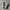 Nike Air Jordan 1 Low Wolf Grey  photo 3