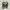 Adidas superstar  photo 3