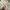 Diesel Streetwear Luxury Bomber jacket Wanita white photo 6