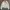 Diesel Streetwear Luxury Bomber jacket Wanita white photo 1