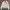 Diesel Streetwear Luxury Bomber Jacket Wanita White