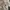 Diesel Streetwear Luxury Bomber jacket Wanita white photo 5
