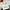 Charles and Keith Casual Handbag Wanita white photo 3