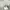 Charles and Keith Casual Handbag Wanita white photo 6
