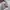 Charles And Keith Marceline Bowling Canvas Bag - Multi (prel photo 7