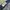 Pull & Bear Grunge Casual Jeans Pria blue photo 5