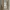 Adidas Yeezy Boost 350 V2 photo 3