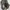 Adidas Yeezy Boost 350 V2 photo 2