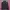 Tracktop Adidas Ts Entri Black