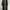 Long Outer photo 3