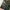 Long Outer photo 5