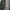Long Outer photo 4