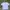 Adidas Streetwear Sportswear Jersey Pria White