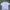 Adidas Streetwear Sportswear Jersey Pria White