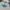 Lee Casual Hoody Pria cream blue photo 2