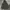 GAP Casual Hoody Pria black gray photo 1