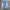 Think Good Fading Skateboard Baggy Jorts photo 1