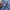 Think Good Fading Skateboard Baggy Jorts photo 3