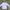 Polo Ralph Lauren Vintage Casual Casual shirt Pria white photo 1