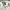 Vintage Streetwear Windbreaker Pria white photo 4