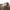THENBLANK Minimalist Casual Other Wanita tan photo 2