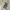 Babolat Pure Aero 2023 Tennis Racquet photo 1