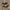 Vans Era Customed Api-Api