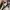 Vans Era Customed Api-Api