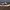 Vans Era Customed Api-Api photo 5