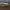Vans Era Customed Api-Api photo 6
