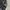 DESTRUCT GOVERNMENT RIOT BOMBER JACKET EMBROIDERY photo 5