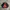 DESTRUCT GOVERNMENT RIOT BOMBER JACKET EMBROIDERY photo 6