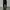 Uniqlo Casual Casual pants Pria black photo 1