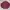 Marron Knitwer