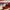 Dickies Casual Casual pants Pria multicolor photo 7