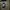 huawei smart watch GT 2 photo 1