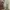 New Balance Streetwear Casual Sweatshirt Pria cream photo 5