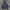 Parachute Camo Jackets photo 3