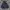 Parachute Camo Jackets photo 1