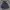 Parachute Camo Jackets