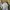 Polo Ralph Lauren Streetwear Y2K Casual Shirt Pria White Blue