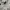 Nike Streetwear Sportswear Hoody Pria multicolor photo 5