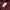 Dickies Streetwear Sportswear Hoody Pria burgundy photo 7
