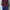 Dickies Streetwear Sportswear Hoody Pria burgundy photo 2