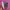 Vans Sk8 High Tapered  photo 2