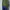 Nike Streetwear Sportswear Sweatshirt Pria green photo 2