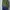 Nike Streetwear Sportswear Sweatshirt Pria Green