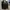 Top  katun photo 1