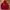 GAP Streetwear Hoody Pria red photo 1